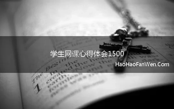 学生网课心得体会1500