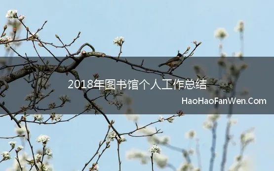 2018年图书馆个人工作总结