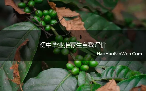 初中毕业推荐生自我评价 优秀初中生推荐自我评价范文