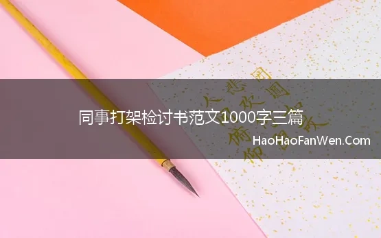 同事打架检讨书范文1000字三篇