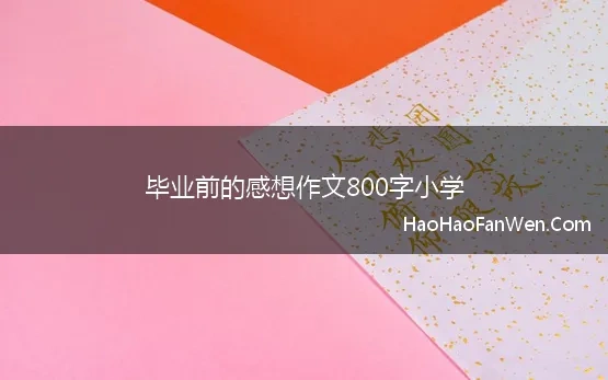 毕业前的感想作文800字小学