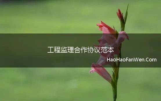 监理合作协议书范本