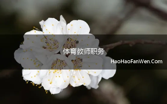 体育教师职务(体育教师职称评审总结9)