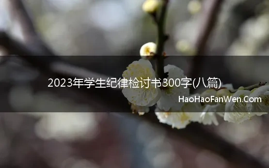 2023年学生纪律检讨书300字(八篇)