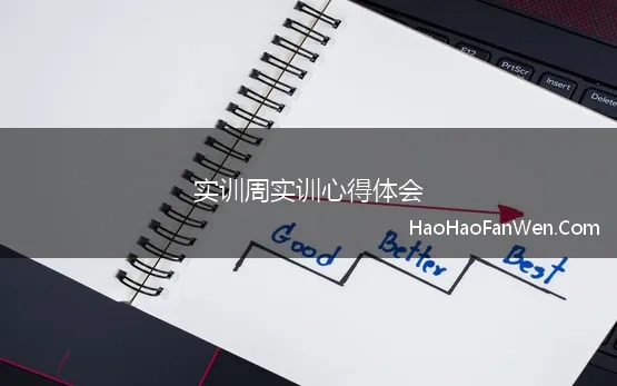 实训周实训心得体会 大学实训周实训心得与总结多篇