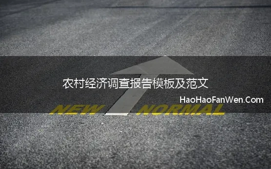 农村经济调查报告模板及范文 农村经济调查报告范文3000字