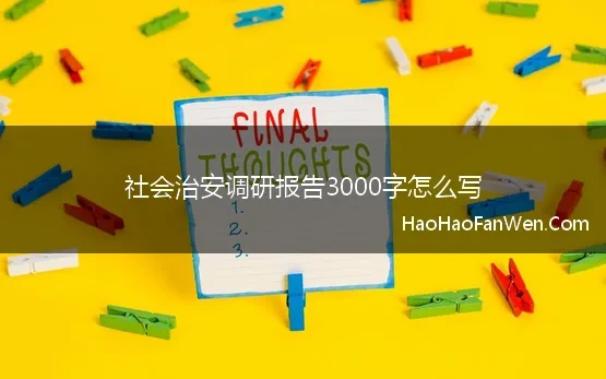 社会治安调研报告3000字怎么写