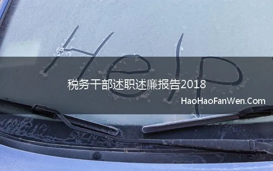 税务干部述职述廉报告2018