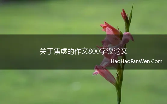 关于焦虑的作文800字议论文