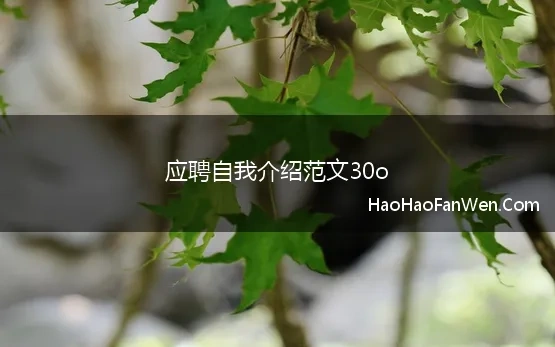 应聘自我介绍范文30o