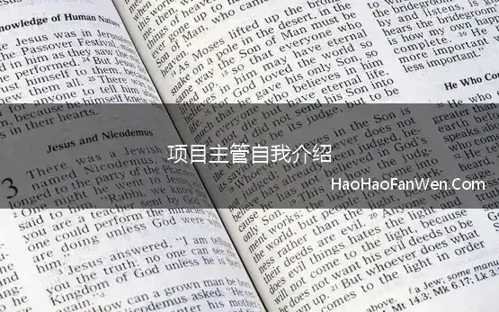 项目主管自我介绍