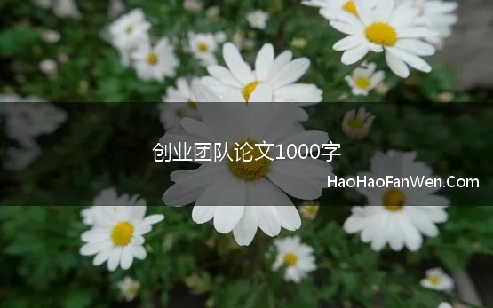 创业团队论文1000字