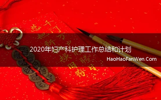 2020年妇产科护理工作总结和计划