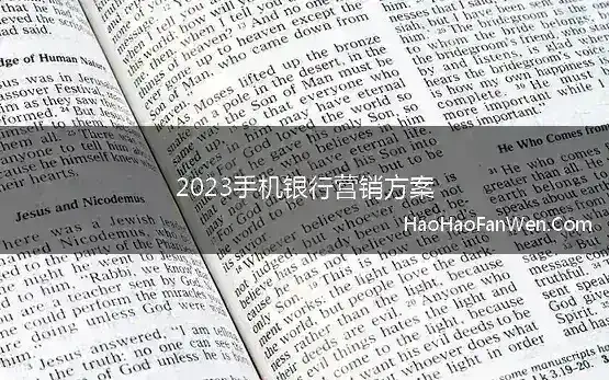 2023手机银行营销方案