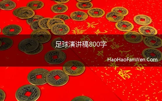 足球演讲稿800字(精彩的足球比赛作文范文800字)