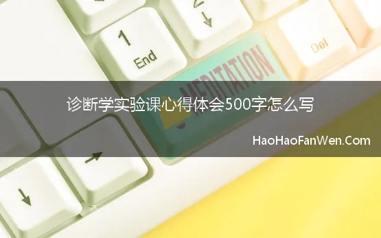 诊断学实验课心得体会500字怎么写