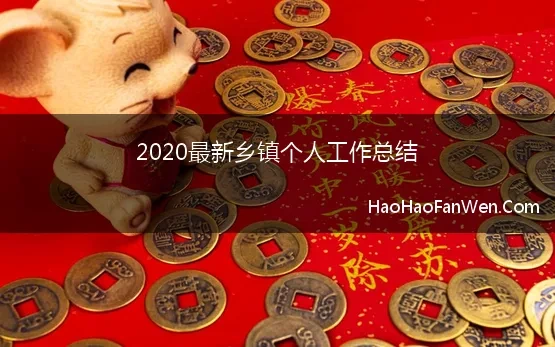 2020最新乡镇个人工作总结