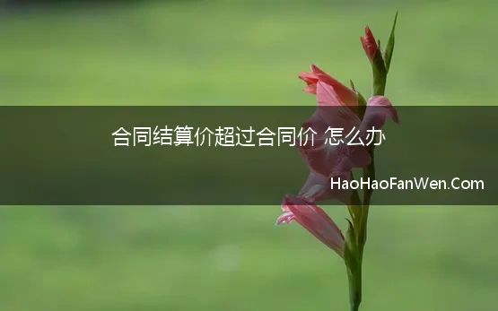 合同结算价超过合同价 怎么办