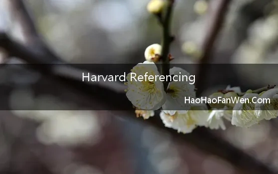 Harvard Referencing