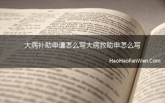 大病补助申请怎么写大病救助申怎么写