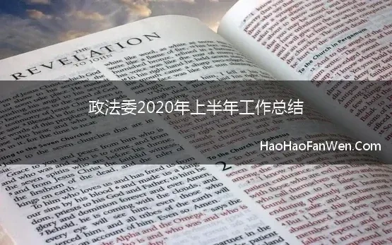 政法委2020年上半年工作总结