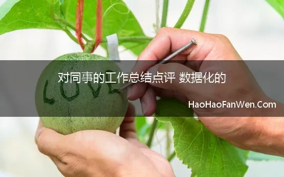 对同事的工作总结点评 数据化的