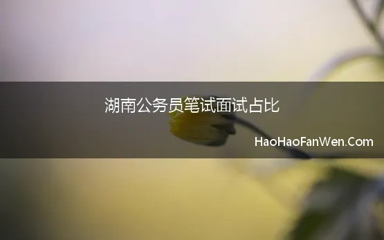 湖南公务员笔试面试占比