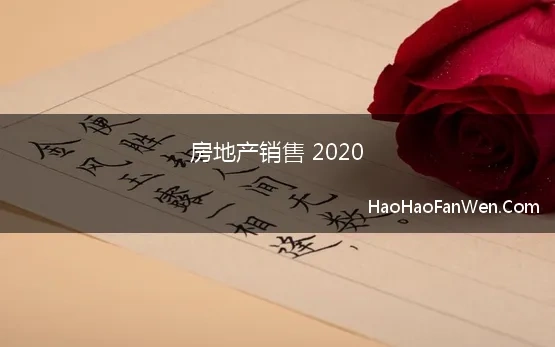 房地产销售 2020