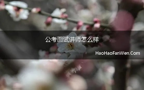 公考面试讲师怎么样