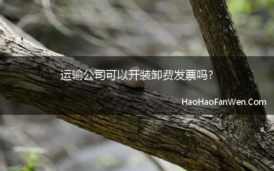 运输公司可以开装卸费发票吗?