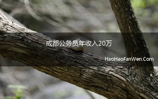 成都公务员年收入20万(在成都实现年薪30万，难不难)