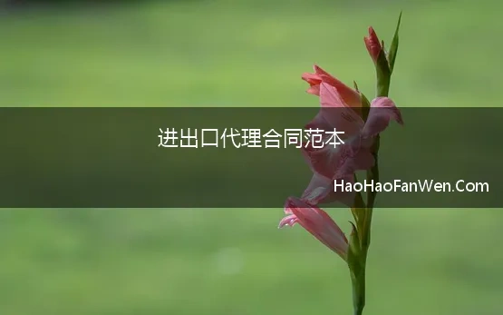 进出口代理合同范本 进出口货运代理合同