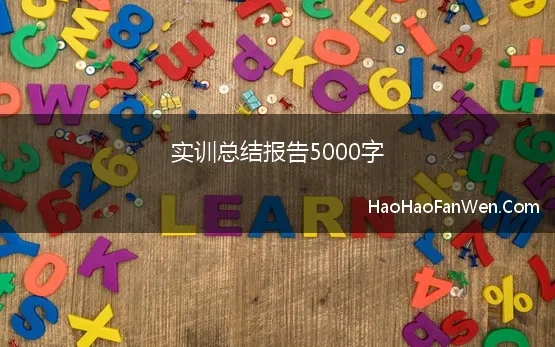 实训报告500字左右