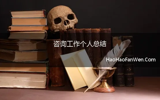 咨询工作个人总结