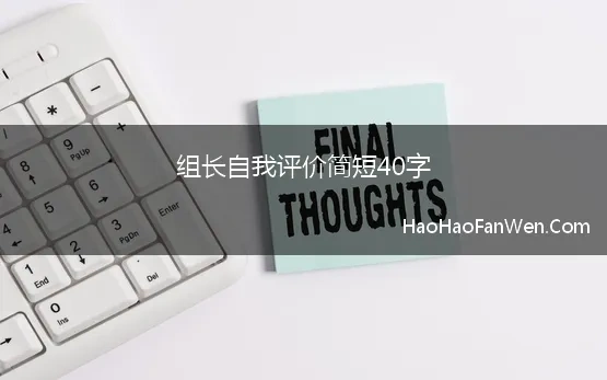 组长自我评价简短40字