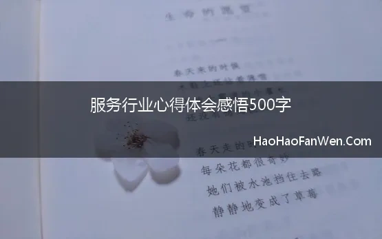 服务行业心得体会感悟500字