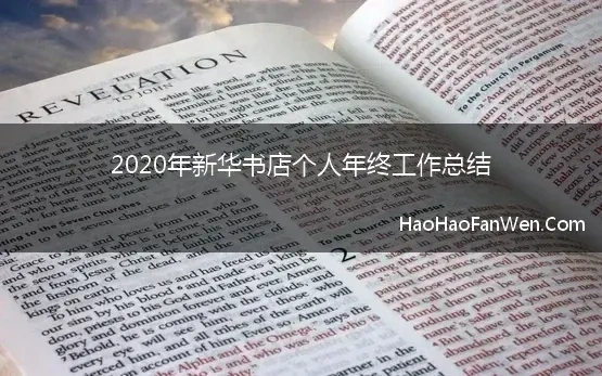 2020年新华书店个人年终工作总结