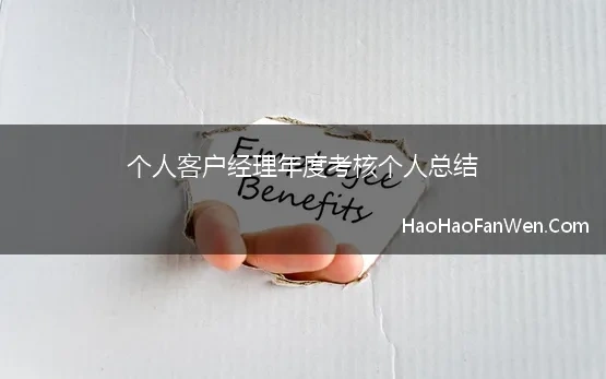 个人客户经理年度考核个人总结