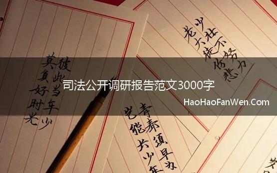 司法公开调研报告范文3000字