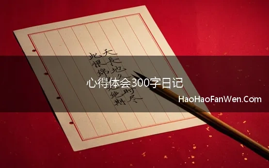 心得体会300字日记