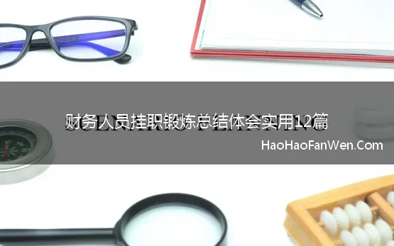 财务人员挂职锻炼总结体会实用12篇