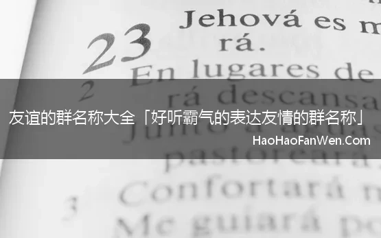 友谊的群名称大全「好听霸气的表达友情的群名称」