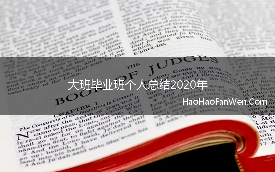 大班毕业班个人总结2020年