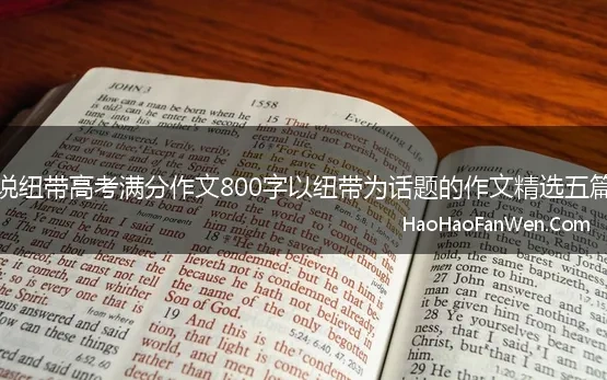 说纽带高考满分作文800字以纽带为话题的作文精选五篇