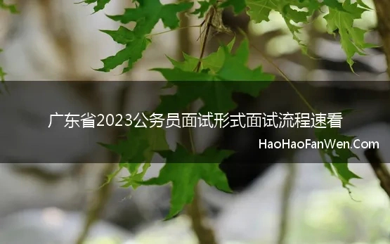 广东省2023公务员面试形式面试流程速看