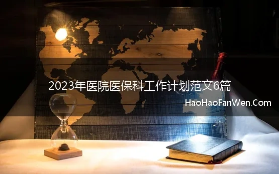 2023年医院医保科工作计划范文6篇