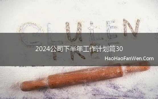 2024公司下半年工作计划篇30