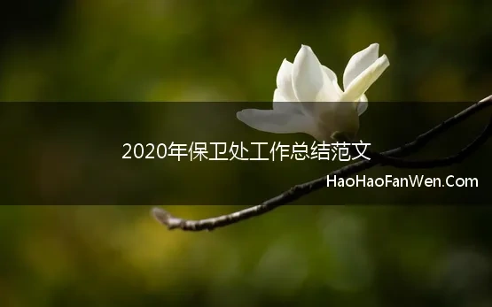 2020年保卫处工作总结范文