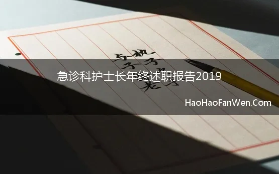 急诊科护士长年终述职报告2019