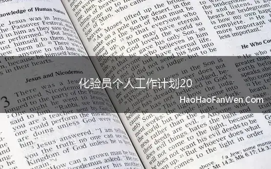 化验员个人工作计划20